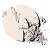 imageCovergirl Outlast AllDay Ultimate Finish 3in1 Foundation Makeup Creamy Natural 04 Ounce105 IVORY