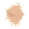 imageCOVERGIRL Professional Loose Finishing Powder Translucent Light Tone Sets Makeup Controls Shine Wont Clog Pores 07 Ounce Packaging May Vary110  Translucent Light