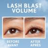 imageCovergirl Lash Blast Volume Mascara Very Black ampamp Perfect Point Plus Eyeliner Pencil Black Onyx