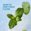 imageCOVERGIRL Clean Fresh Yummy Plumper Lip Gloss 840 Be Chill My Heart Shiny Vegan Formula Easy to Apply Minty Flavor 033ozPlumper  860 EncourageMint