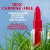 imageCOVERGIRL Clean Lip Color Romance Mauve Satin Finish Squalane Avocado ampamp Aloe CarmineFree NonDrying 012ozWarm Taupe